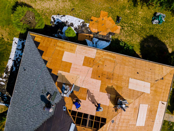 Best Roof Maintenance Services  in Corydon, IA